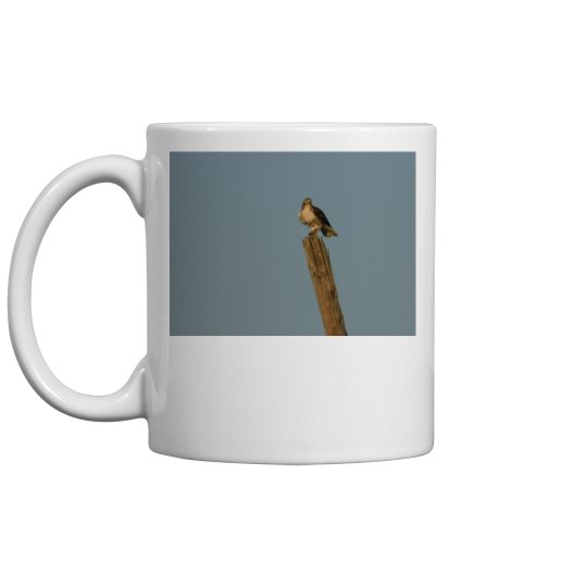 JoyElaineNicoski JoyElaineNicoski