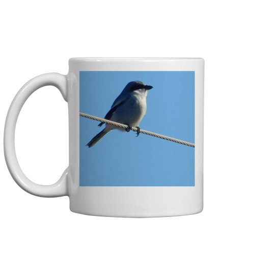 JoyElaineNicoski JoyElaineNicoski