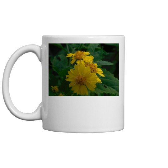 JoyElaineNicoski JoyElaineNicoski