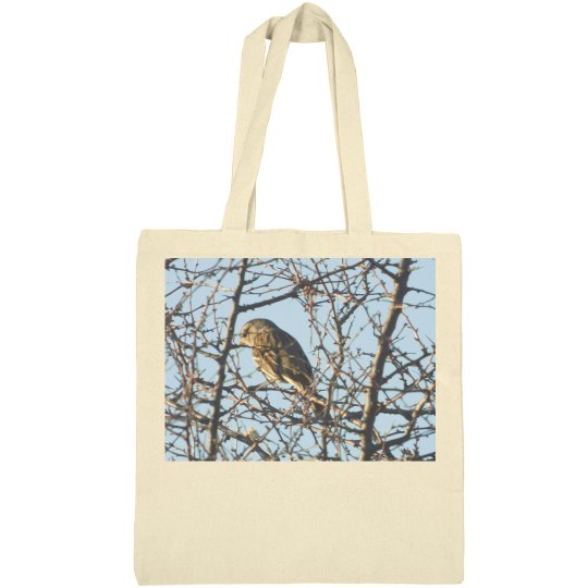 JoyElaineNicoski JoyElaineNicoski