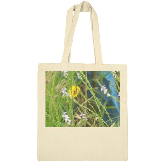 JoyElaineNicoski JoyElaineNicoski