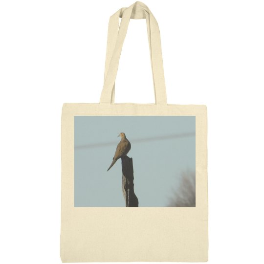 JoyElaineNicoski JoyElaineNicoski