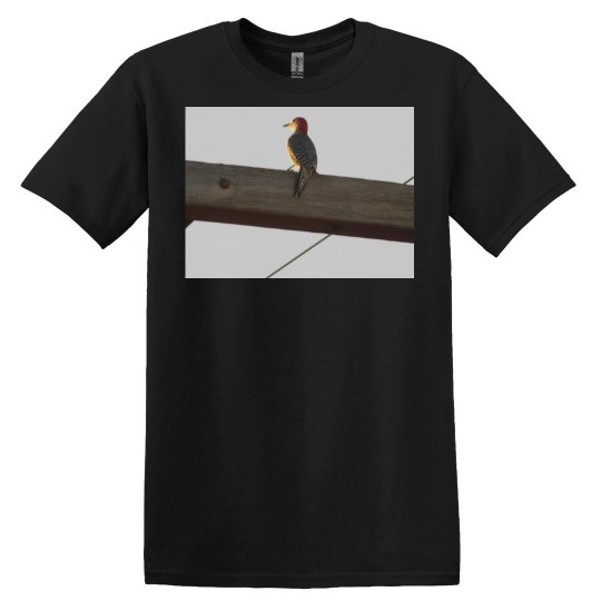 JoyElaineNicoski JoyElaineNicoski