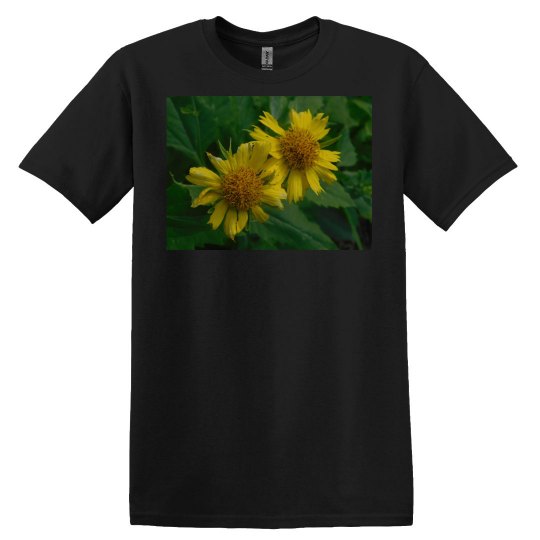 JoyElaineNicoski JoyElaineNicoski