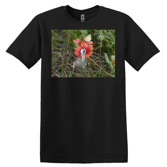 JoyElaineNicoski JoyElaineNicoski