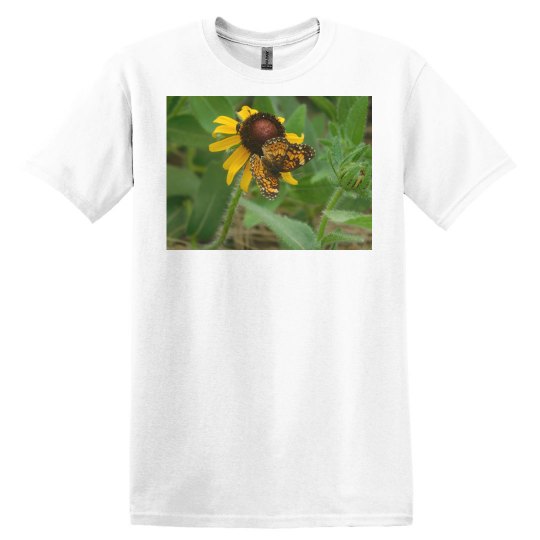 JoyElaineNicoski JoyElaineNicoski