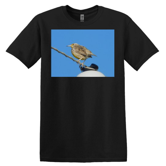 JoyElaineNicoski JoyElaineNicoski