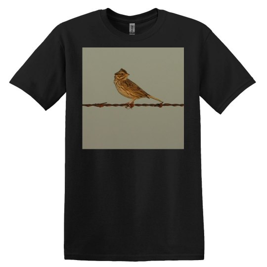 JoyElaineNicoski JoyElaineNicoski