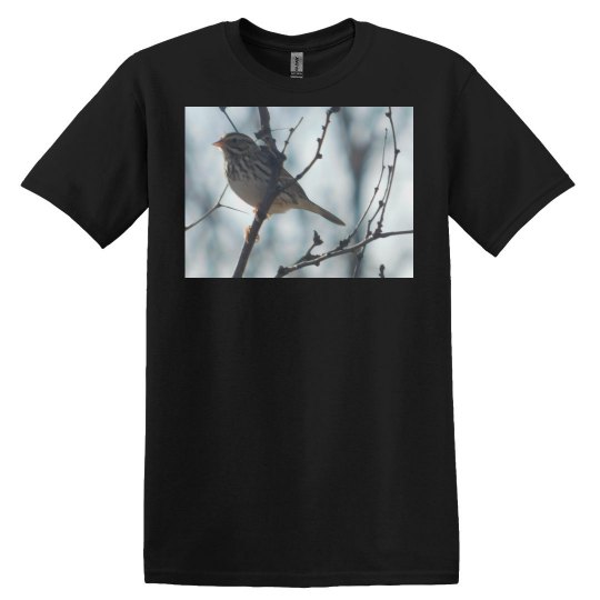 JoyElaineNicoski JoyElaineNicoski