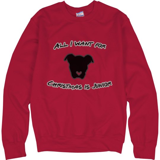 Junior Christmas sweater