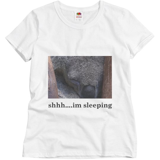 koala sleeping koala sleeping