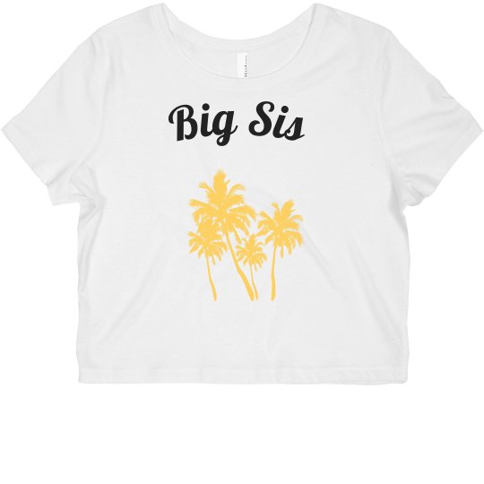 la la big sis crop tee la la big sis crop tee