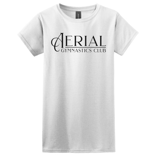 Ladies Basic Tee #L3930R