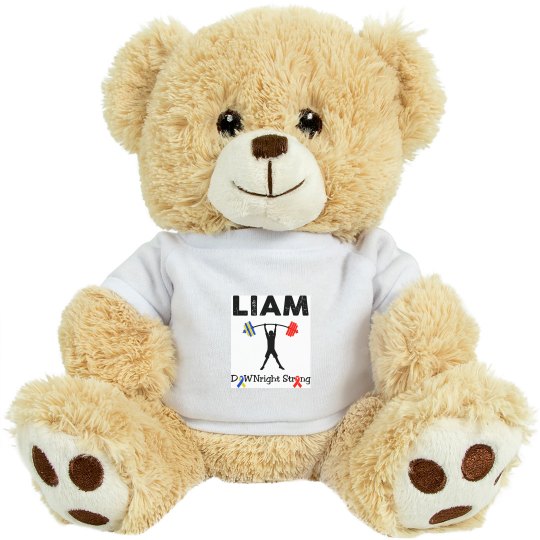 Liam's Small Stuffed Lion
