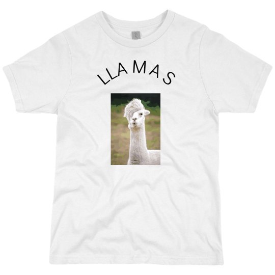llamas tee shirt