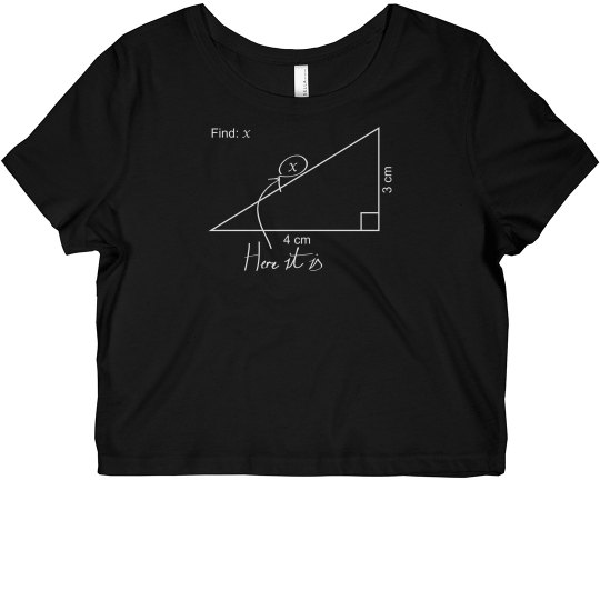 Math Joke Crop Top