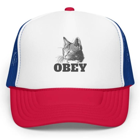 Obey the Cat Obey the Cat