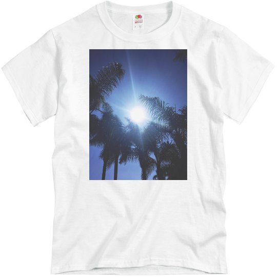 Palm trees & sun Palm trees & sun