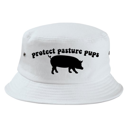 protect pigs protect pigs
