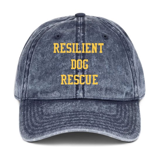 SAC RDR Text Only Hat
