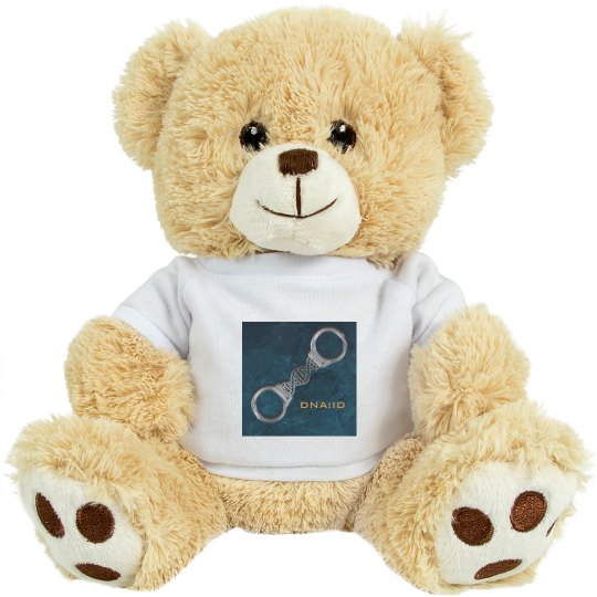 Teddy Bear Teddy Bear