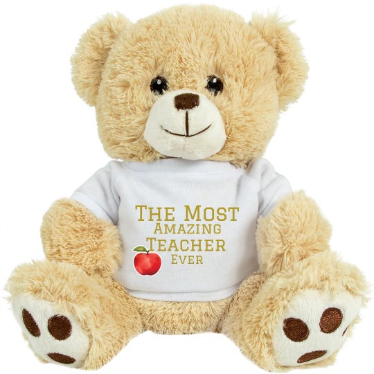 The Most Amazing Teacher Ever