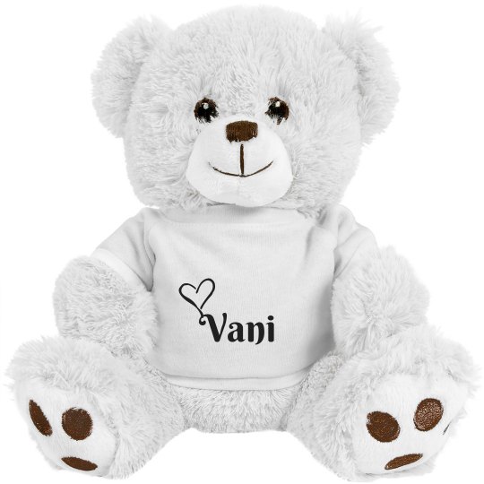 Vani's Teddy