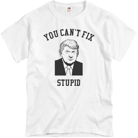 You Can't Fix Stupid
