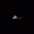 back thumbnail