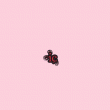 back thumbnail