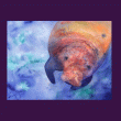 front swatch thumbnail