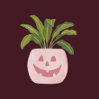front swatch thumbnail