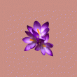 front swatch thumbnail