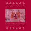 front swatch thumbnail