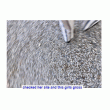 front swatch thumbnail