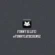 back thumbnail
