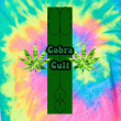 back thumbnail