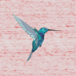 back thumbnail