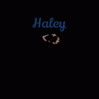 back thumbnail