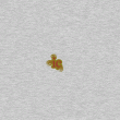 back thumbnail
