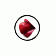 front swatch thumbnail