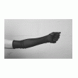 back thumbnail