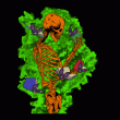 front swatch thumbnail