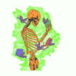 front swatch thumbnail