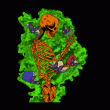 front swatch thumbnail