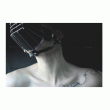 back thumbnail