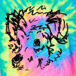 front swatch thumbnail