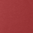 back thumbnail