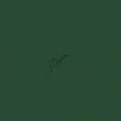 back thumbnail