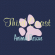 back thumbnail
